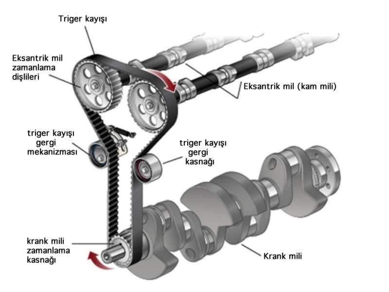 Triger Kayışı Nedir ve Neden Önemlidir?